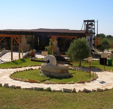 Oleastro Olive Park and Museum 1