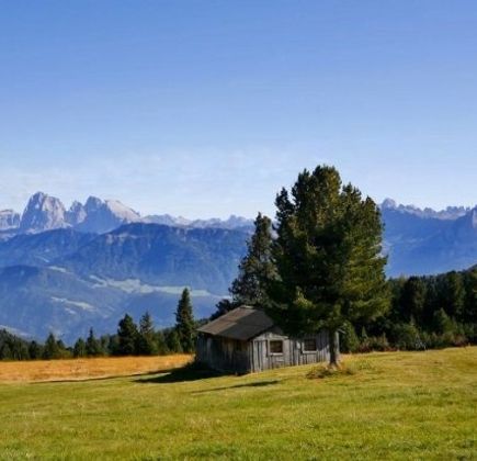 Alpe di Villandro 1