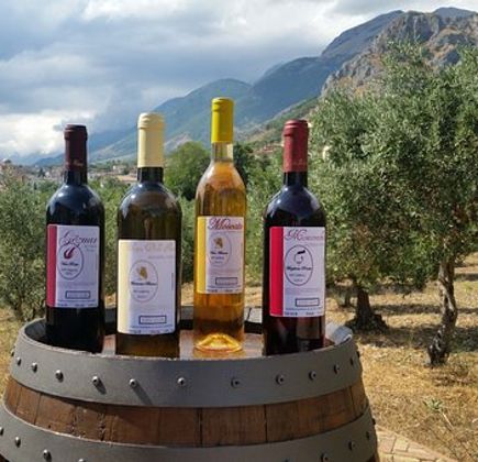 Azienda Vitivinicola Rizzo 1