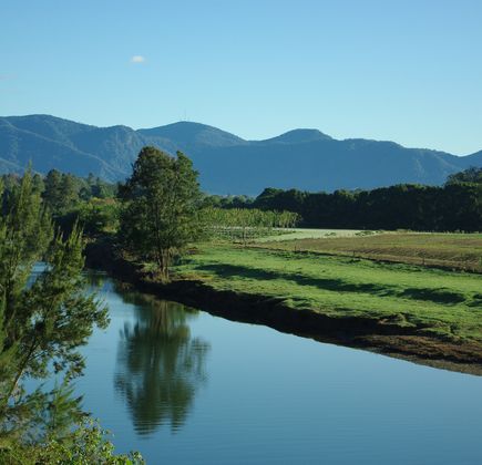 Bellinger River National Park 1