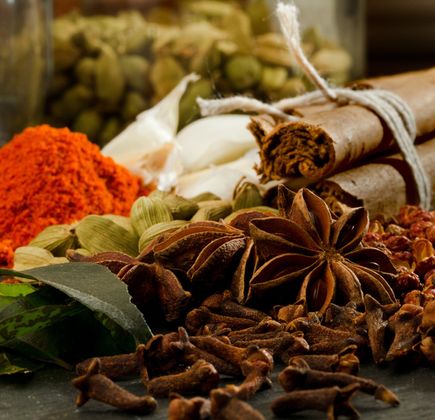 Banasura Spices Garden 1