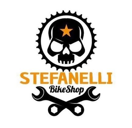 Cicli Stefanelli 1