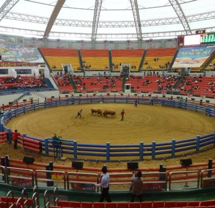 Cheongdo Bullfighting Arena 1