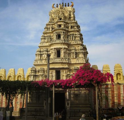 Navaneetha Krishna Temple 1