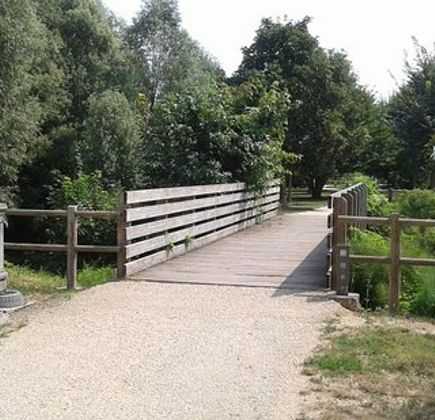 Oasi naturale faunistica le risorgive 1