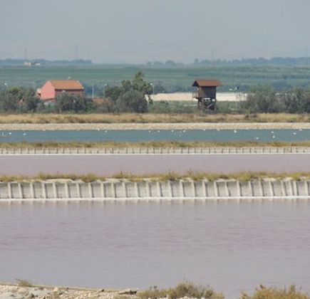 Pista Ciclabile Trinitapoli-Mare 1