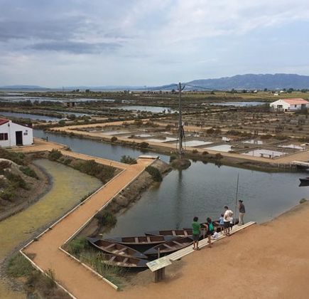 Parc Natural del Delta de l'Ebre 1