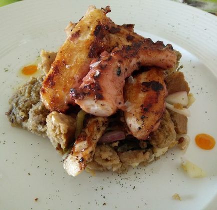 Origano Cibo e Vino 1