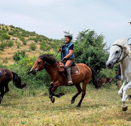 Caravan Horse Riding Albania 1