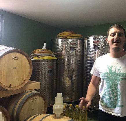 Wine cellar Begic 1