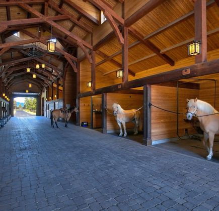 Malo Stables 1