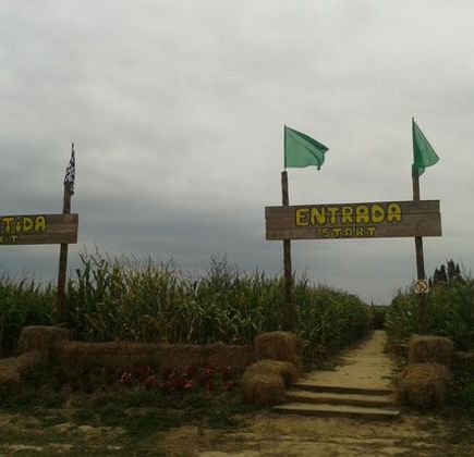 Laberint Sant Pere Pescador 1