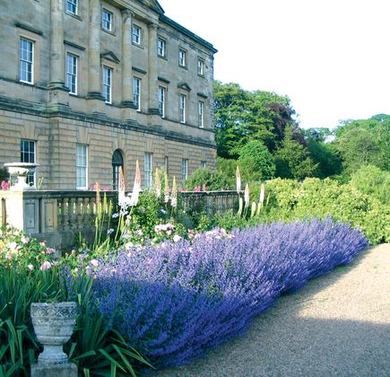Benvie Garden 1