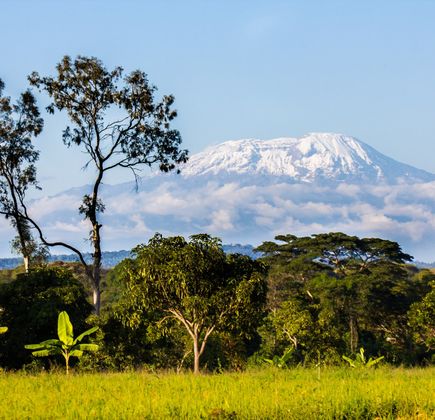 Tanzania Transfers 1