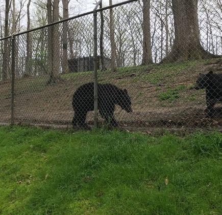 West Virginia State Wildlife Center 1