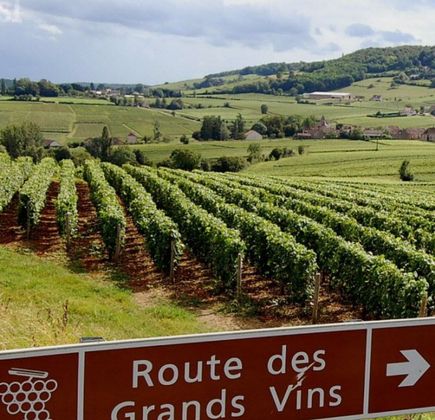 Route des Vins 1