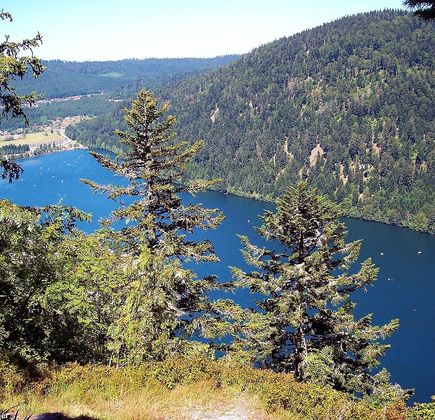 Lac de Longemer 1