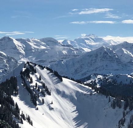 Alps Mont Blanc SKi 1