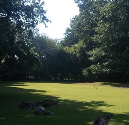 Kinderboerderij Pietersheim 1