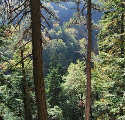 To Monopati Tis Agapis 1