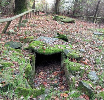 Parco dei Lagoni di Mercurago 1