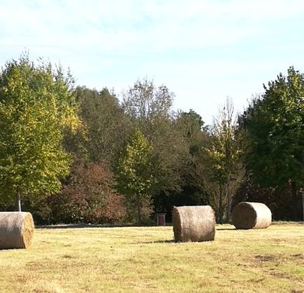Parc Départemental du Sausset 1