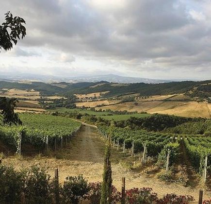 Maremma Wine and Company 1