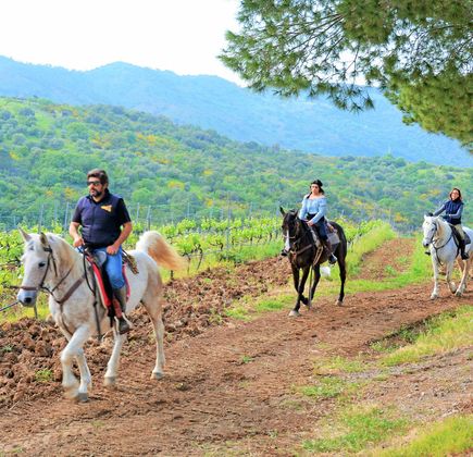 Sicily Horse Tours 1