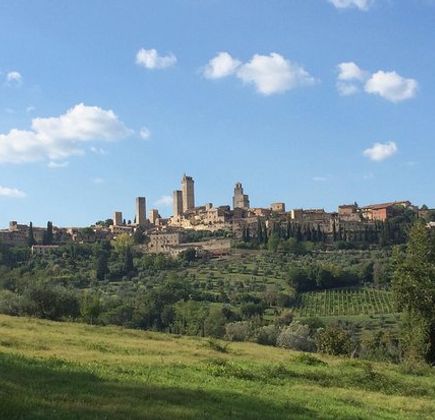 Guardastelle Vineyard 1