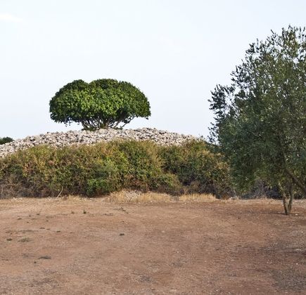 Specchia dei Mori 1