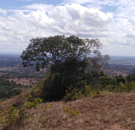 Shimba Hills National Reserve 1