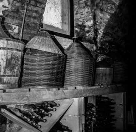 Azienda Agricola Gentili 1