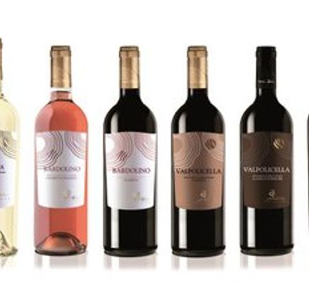 Monteci Viticoltori 1