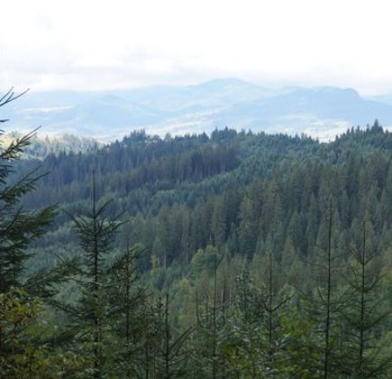 Yablonitskiy Pass 1