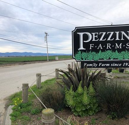 Pezzini Farms 1
