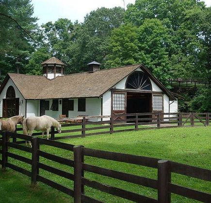 Country Pony Ranch 1
