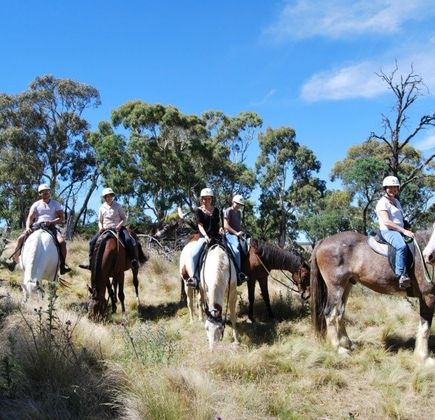 HIgh Country Trail Rides 1