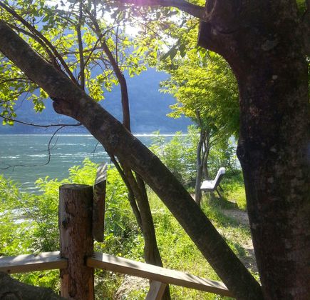 Nami Island 1