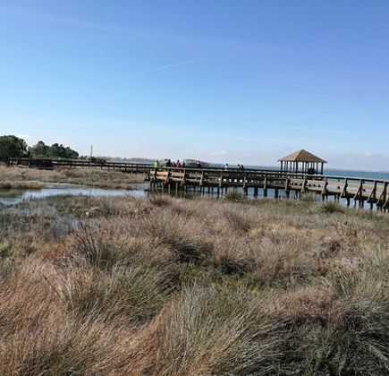 Il Giardino Botanico di Porto Caleri 1