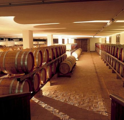 Cantine Paladin 1