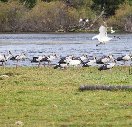 Chundikulam National Park 1
