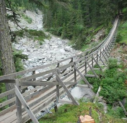 Val Sinestra Suspension Bridges 1