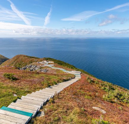 Skyline Trail 1