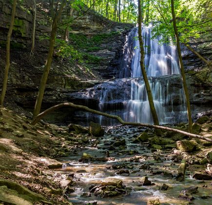 Waterfalls of Hamilton 1