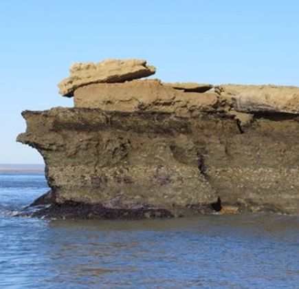 Reserva Provincial Peninsula Puerto San Julian 1