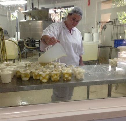 Hunter Belle Cheese 1