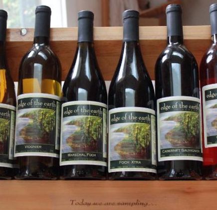 Edge of the Earth Vineyard 1