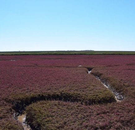 Panjin Lakeside Park 1