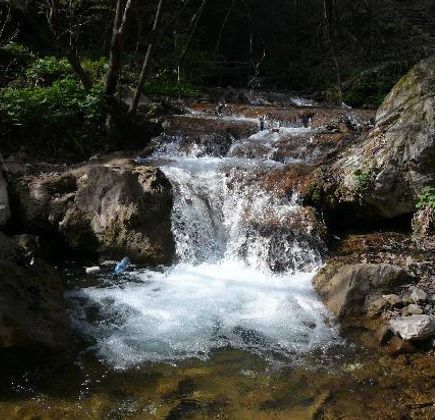 Chongdu Ditch 1