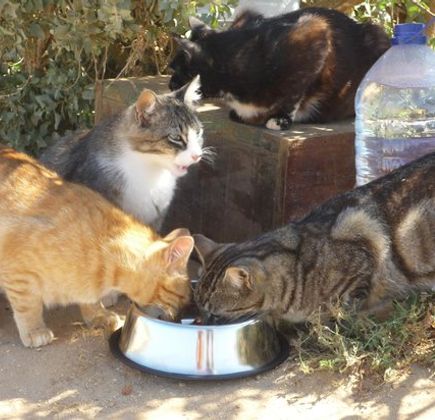 Nandi Charity Shop 1